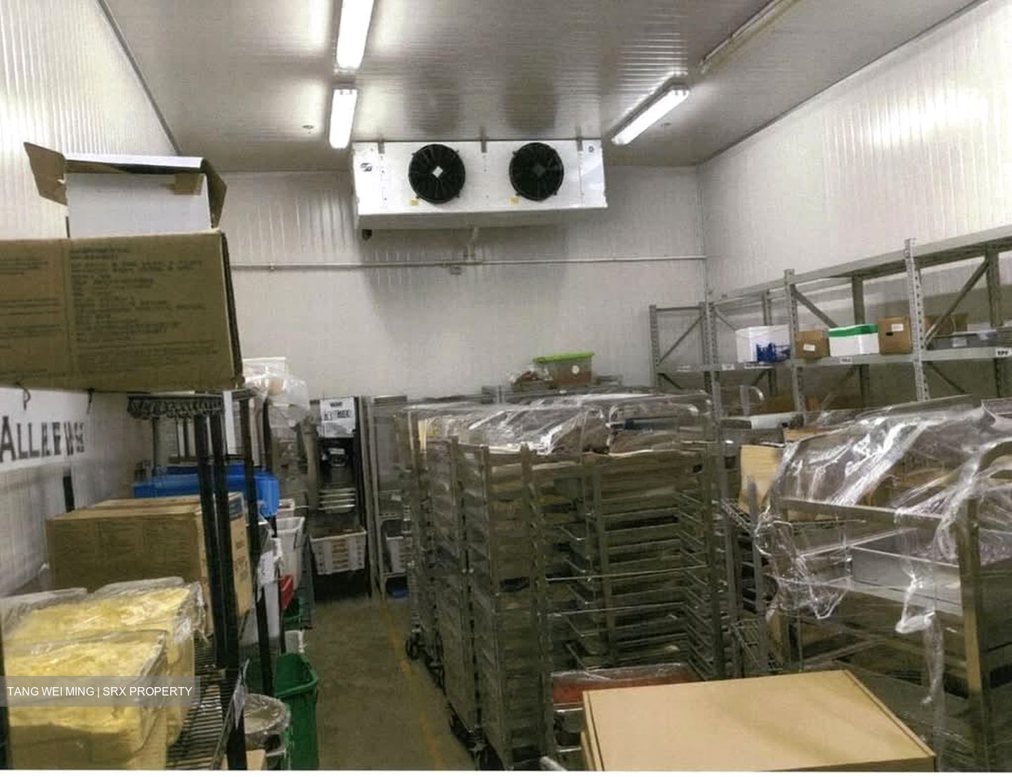 Senoko Industrial Estate (D27), Factory #567488531